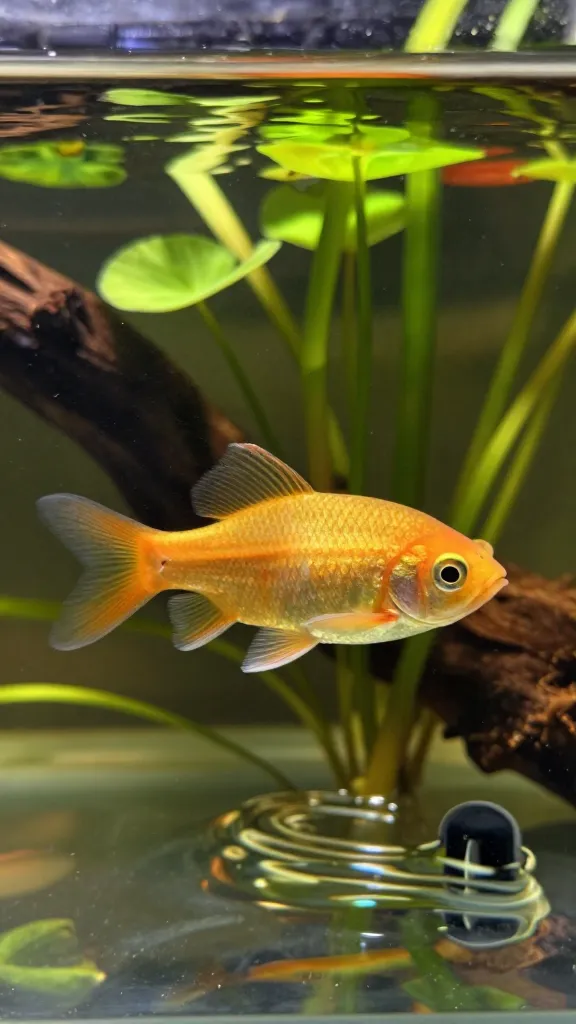 Item 9